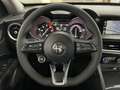 Alfa Romeo Stelvio 2.2 TD 190 CV BUSINESS Q4 DISTRIBUZIONE ESEGUITA Rot - thumbnail 31