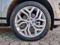 Land Rover Range Rover Evoque Range Rover Evoque 2.0D I4 180 CV AWD Auto R-Dynam Grigio - thumbnail 5