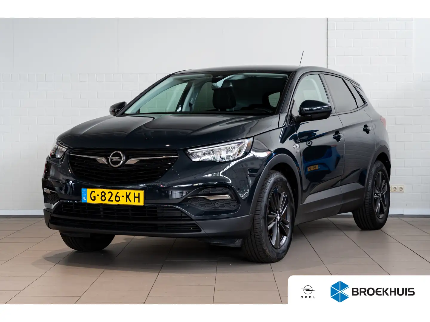 Opel Grandland X 1.2 Turbo 120 Jaar Edition | Trekhaak | Apple Carp Grijs - 1