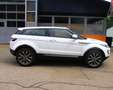 Land Rover Range Rover Evoque Pure 2,2 TD4 Weiß - thumbnail 6