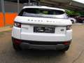 Land Rover Range Rover Evoque Pure 2,2 TD4 Weiß - thumbnail 5