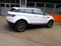 Land Rover Range Rover Evoque Pure 2,2 TD4 Weiß - thumbnail 7