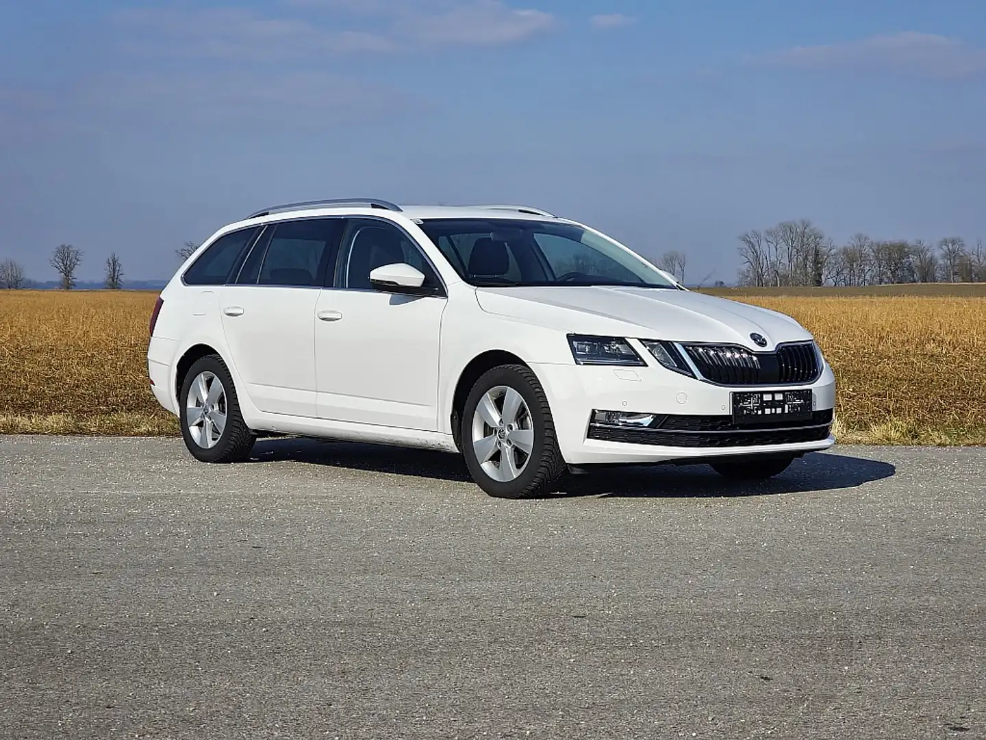 Skoda Octavia Combi 1,4 TSI G-TEC Style *SOMMERAKTION*VOLL-LE... Bianco - 2