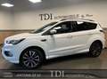 Ford Kuga 1.5 TDCi ECO FWD ST Line*120CV*1er MAIN*BELGE* Blanc - thumbnail 7