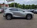 Lexus NX 300h E-FOUR Executive Line Panodach Silber - thumbnail 6