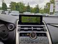 Lexus NX 300h E-FOUR Executive Line Panodach Silber - thumbnail 14