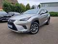Lexus NX 300h E-FOUR Executive Line Panodach - thumbnail 1
