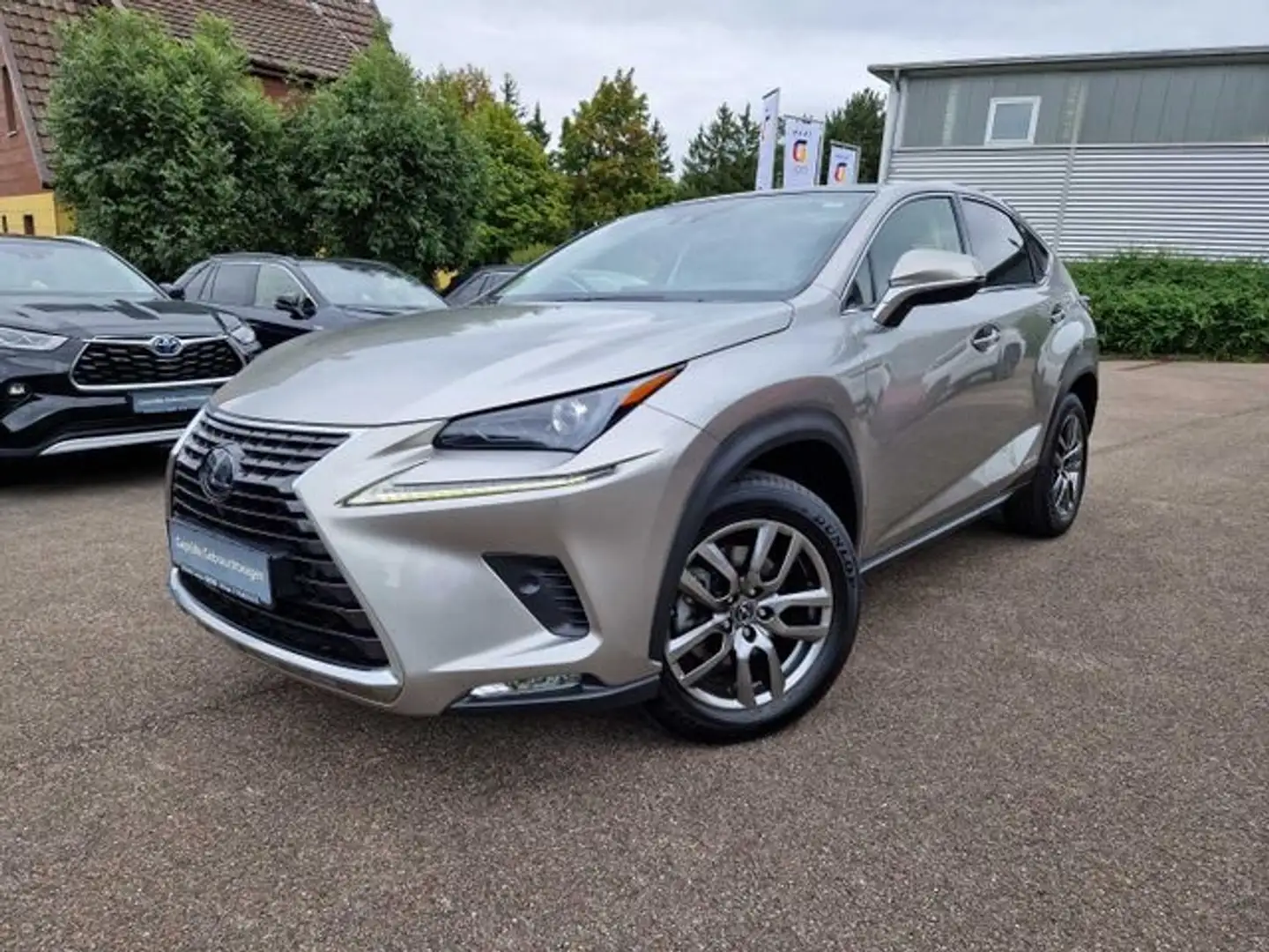 Lexus NX 300h E-FOUR Executive Line Panodach - 1
