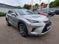 Lexus NX 300h E-FOUR Executive Line Panodach Silber - thumbnail 7