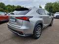 Lexus NX 300h E-FOUR Executive Line Panodach - thumbnail 5