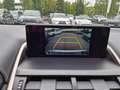 Lexus NX 300h E-FOUR Executive Line Panodach Silber - thumbnail 16