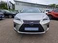 Lexus NX 300h E-FOUR Executive Line Panodach - thumbnail 8