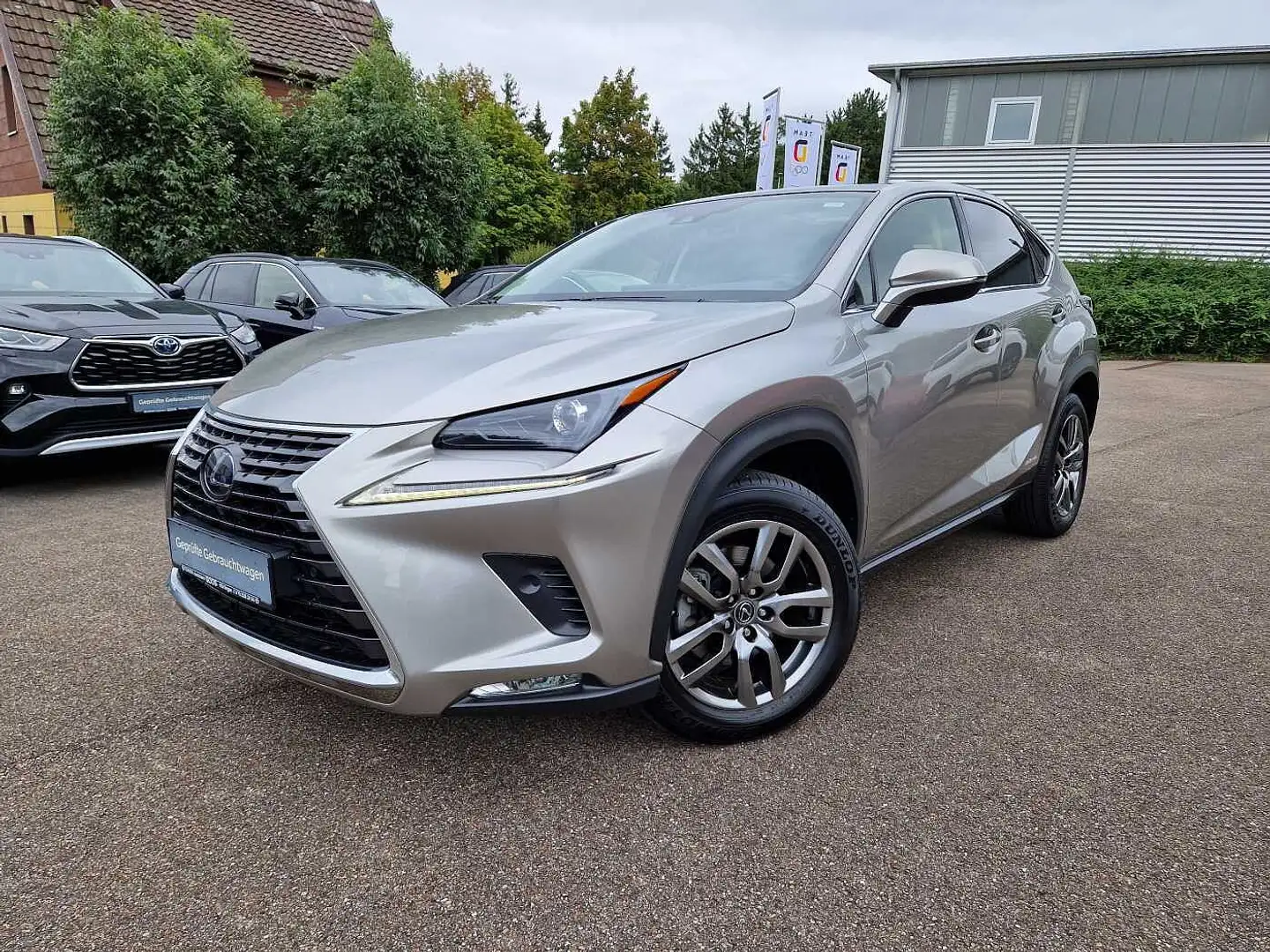 Lexus NX 300h E-FOUR Executive Line Panodach Silber - 1