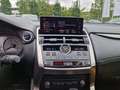 Lexus NX 300h E-FOUR Executive Line Panodach Silber - thumbnail 13