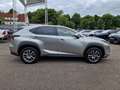 Lexus NX 300h E-FOUR Executive Line Panodach - thumbnail 6