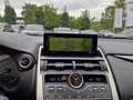 Lexus NX 300h E-FOUR Executive Line Panodach - thumbnail 14