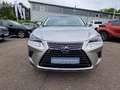 Lexus NX 300h E-FOUR Executive Line Panodach Silber - thumbnail 8