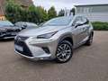 Lexus NX 300h E-FOUR Executive Line Panodach Silber - thumbnail 1