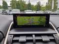 Lexus NX 300h E-FOUR Executive Line Panodach Silber - thumbnail 17