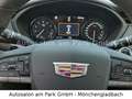 Cadillac XT4 350T AWD Sport - Panorama, Allrad, Komfort Bianco - thumbnail 14