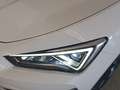 CUPRA Leon 1.5 eTSI 110 DSG Blanc - thumbnail 19