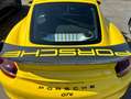 Porsche Cayman GT4 385cv /PACCH.CLUBSPORT/SCAR.SPORTIVO/BELLIS Giallo - thumbnail 5