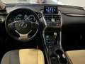 Lexus NX 300h AWD Luxury Line / Fabrieks glazen sch - kanteldak Noir - thumbnail 13