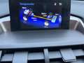 Lexus NX 300h AWD Luxury Line / Fabrieks glazen sch - kanteldak Noir - thumbnail 17