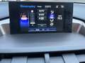 Lexus NX 300h AWD Luxury Line / Fabrieks glazen sch - kanteldak Schwarz - thumbnail 12