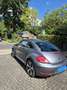 Volkswagen Beetle Allstar BMT TÜV/HU 'NEU" Grau - thumbnail 6