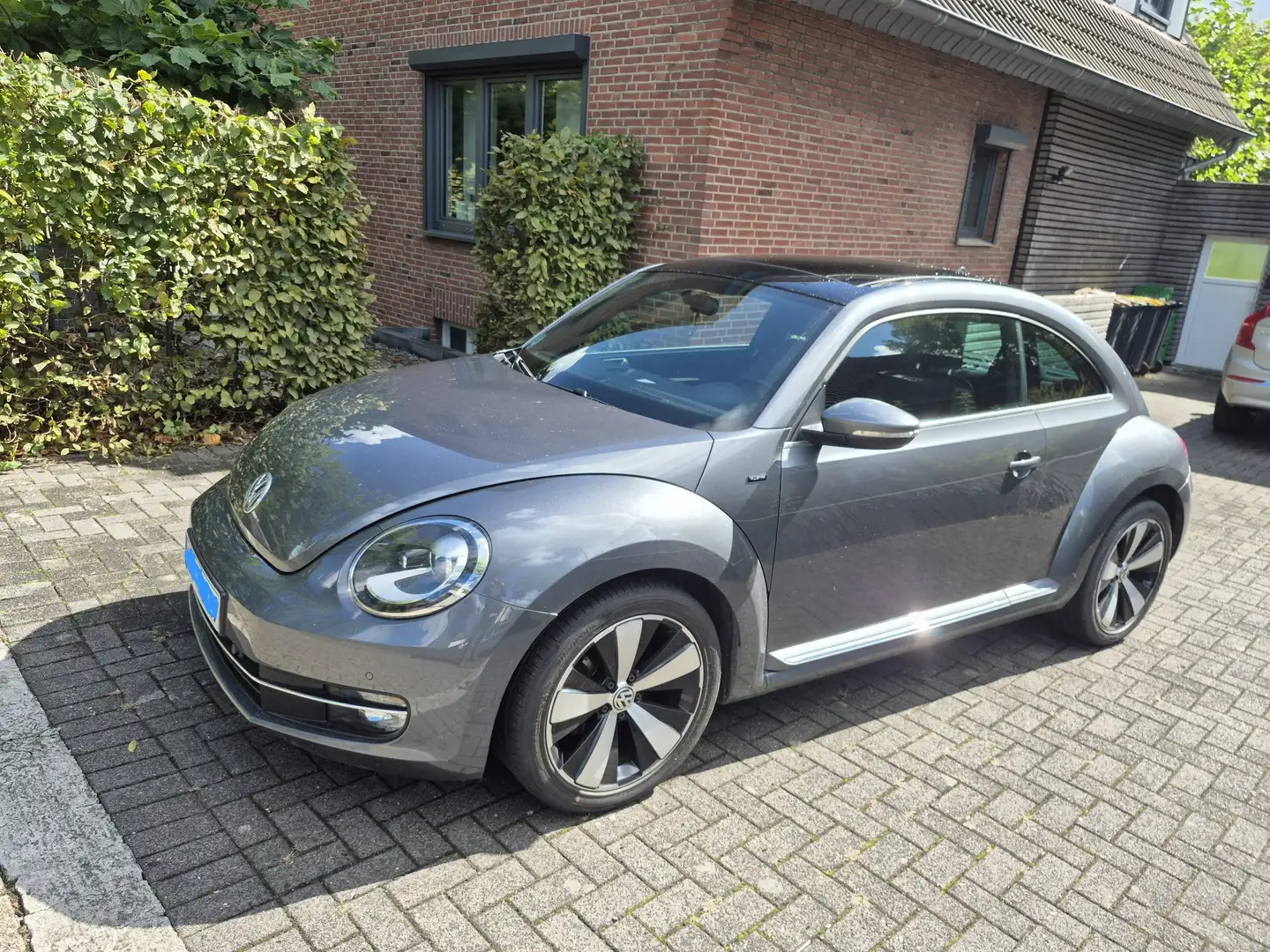 Volkswagen Beetle Allstar BMT TÜV/HU 'NEU" Grau - 1