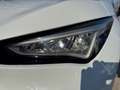 CUPRA Born 58/62 Perfektes Auto ! Blanco - thumbnail 4