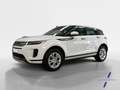 Land Rover Range Rover Evoque 2.0D MHEV S AWD Aut. 150 Blanc - thumbnail 1