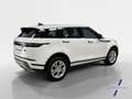 Land Rover Range Rover Evoque 2.0D MHEV S AWD Aut. 150 Blanc - thumbnail 5