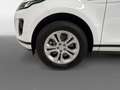 Land Rover Range Rover Evoque 2.0D MHEV S AWD Aut. 150 Blanc - thumbnail 14