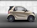smart forTwo EQ 60kWed prime PDC+Kamera Ambiente Navi Beige - thumbnail 6