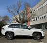 Toyota RAV 4 2.5 Hybrid 4x2  Team Deutschland Wit - thumbnail 1