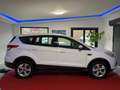 Ford Kuga Trend Navi/BAS/SHZ/Start-Stopp Weiß - thumbnail 6