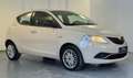 Lancia Ypsilon Ypsilon III 2011 1.2 8v Elle 69cv Beige - thumbnail 12