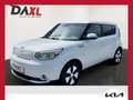 Kia Soul EV AC/DC 30kWh *Technikpaket* Weiß - thumbnail 1