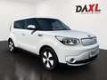 Kia Soul EV AC/DC 30kWh *Technikpaket* Weiß - thumbnail 3