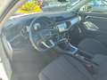 Audi Q3 Q3 Sportback 35 2.0 tdi Business Plus s-tronic Blanc - thumbnail 13