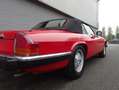 Jaguar XJS XJS Cabriolet 1990 Zeer mooi en roestvrij! Rood - thumbnail 19