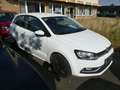 Volkswagen Polo V 1.4 TDI BMT Comfortline Klima Ein HU/AU 05/2027 Weiß - thumbnail 2