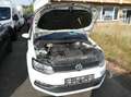 Volkswagen Polo V 1.4 TDI BMT Comfortline Klima Ein HU/AU 05/2027 Weiß - thumbnail 14