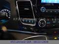 Ford Tourneo Custom 320 L2 Tit. X *MHd*Voll*Audio 25* Gris - thumbnail 20