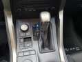 Lexus NX 300 300h Corporate 2WD + Navibox Grau - thumbnail 13