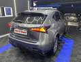 Lexus NX 300 300h Corporate 2WD + Navibox Grau - thumbnail 21