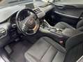 Lexus NX 300 300h Corporate 2WD + Navibox Grau - thumbnail 2