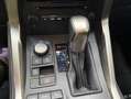 Lexus NX 300 300h Corporate 2WD + Navibox Grau - thumbnail 15
